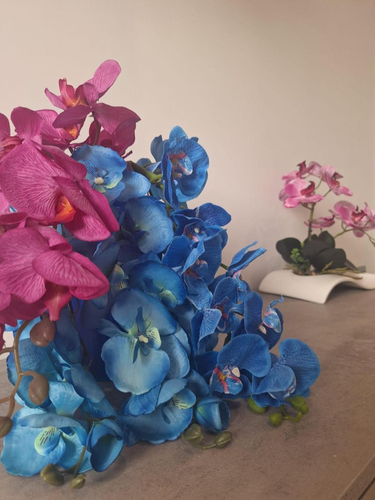 Grazia'S Home Sant'Agnello Εξωτερικό φωτογραφία
