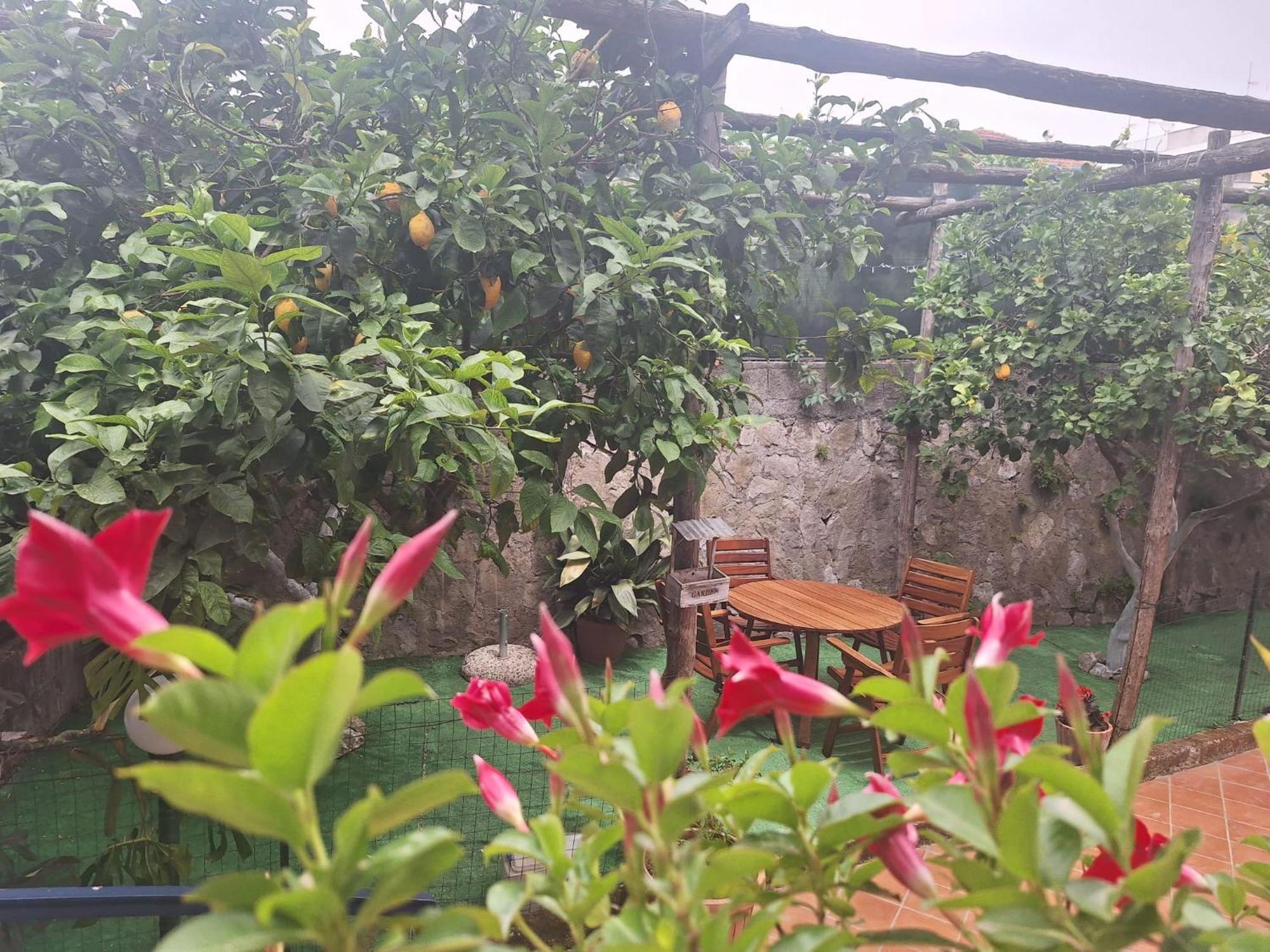 Grazia'S Home Sant'Agnello Εξωτερικό φωτογραφία
