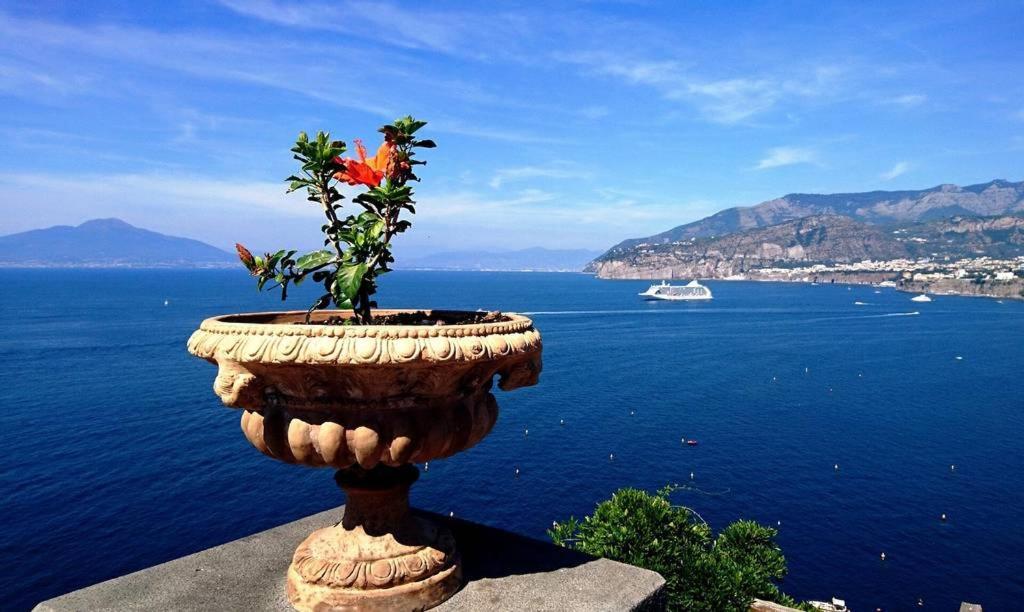 Grazia'S Home Sant'Agnello Εξωτερικό φωτογραφία