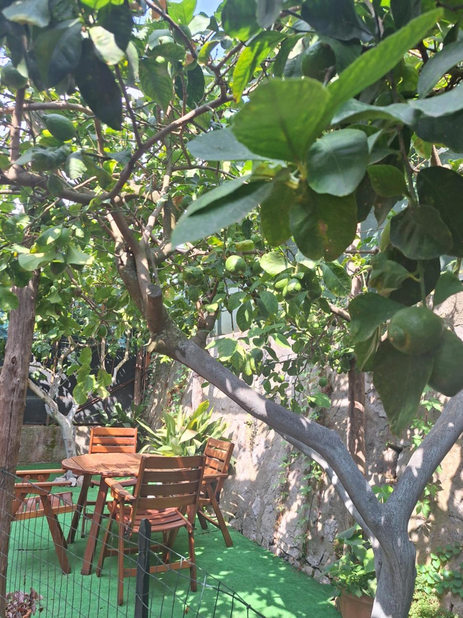 Grazia'S Home Sant'Agnello Εξωτερικό φωτογραφία